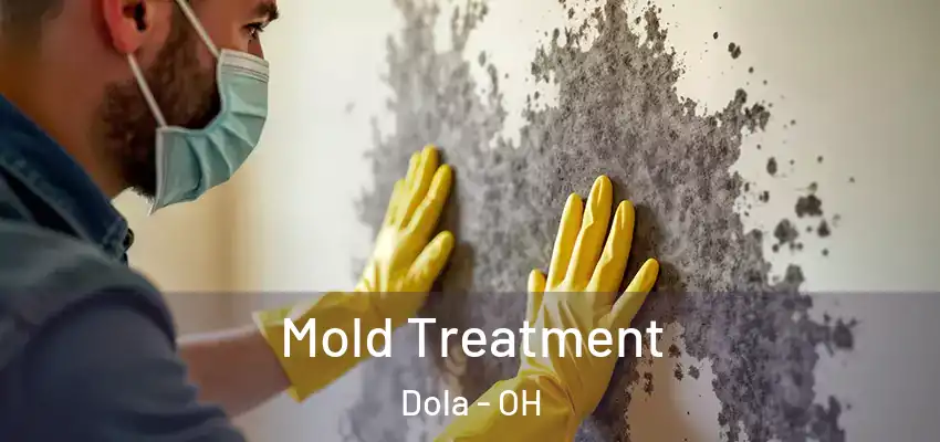Mold Treatment Dola - OH