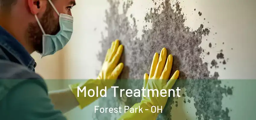 Mold Treatment Forest Park - OH