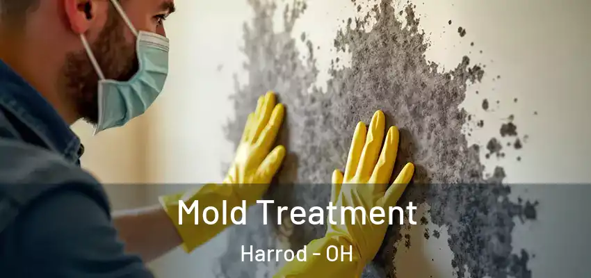 Mold Treatment Harrod - OH