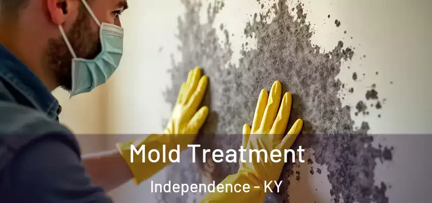 Mold Treatment Independence - KY