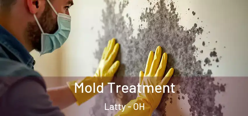 Mold Treatment Latty - OH
