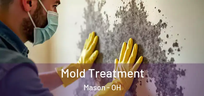  Mold Treatment Mason - OH