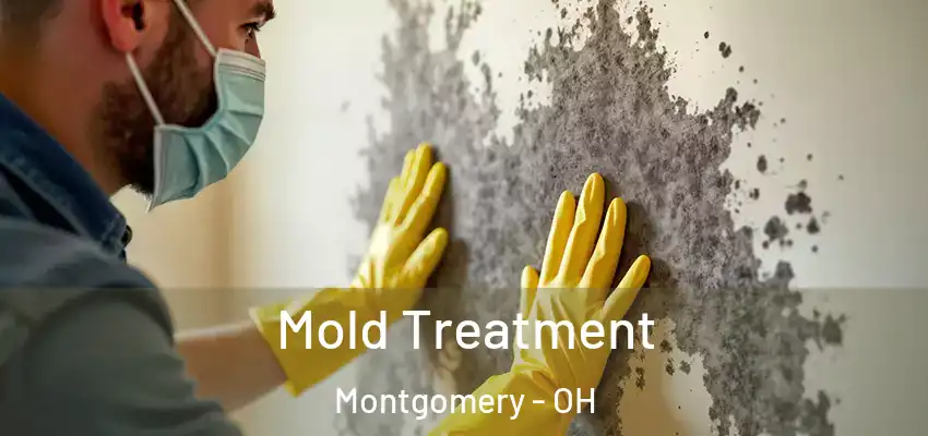 Mold Treatment Montgomery - OH