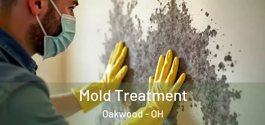  Mold Treatment Oakwood - OH