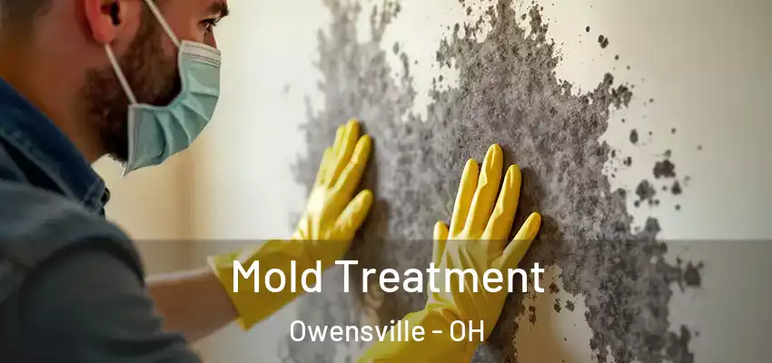 Mold Treatment Owensville - OH