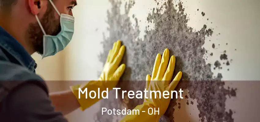  Mold Treatment Potsdam - OH