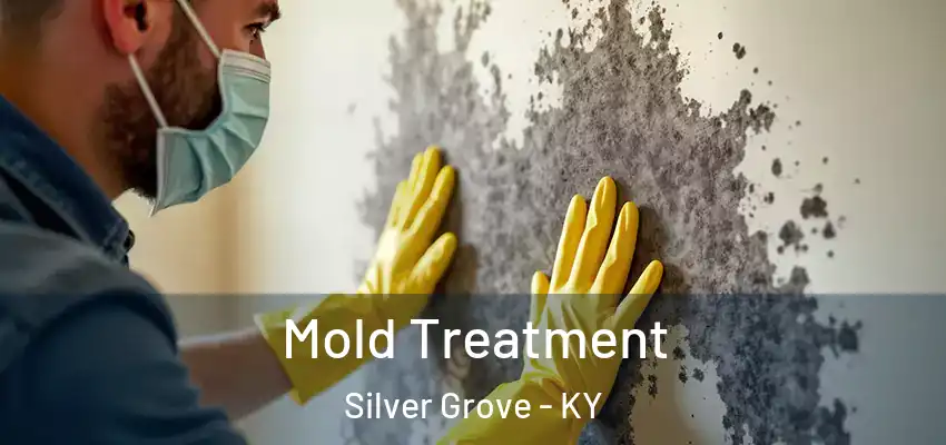 Mold Treatment Silver Grove - KY