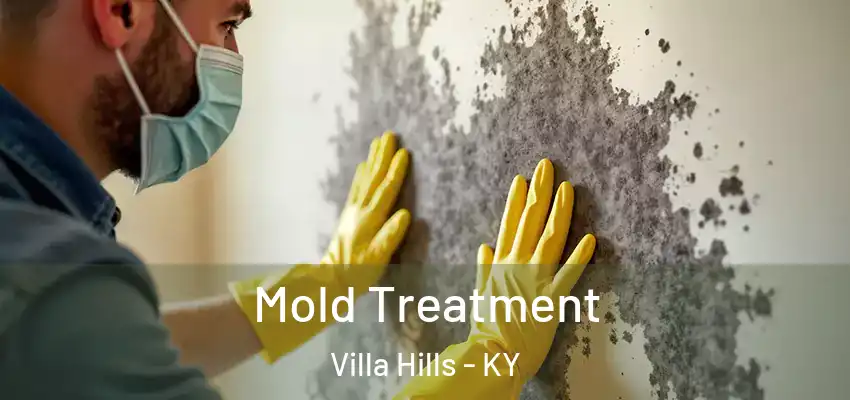  Mold Treatment Villa Hills - KY