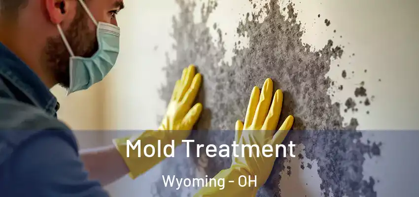 Mold Treatment Wyoming - OH