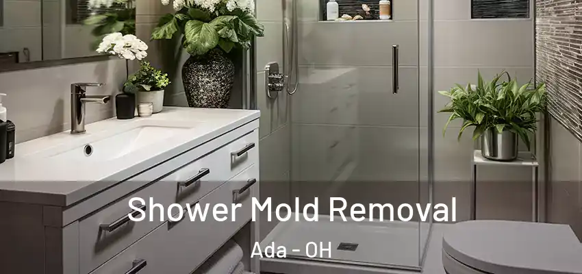Shower Mold Removal Ada - OH