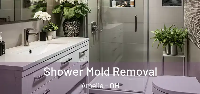  Shower Mold Removal Amelia - OH