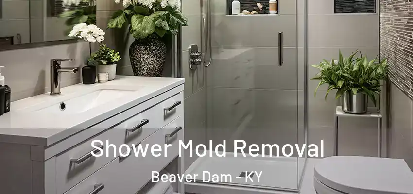  Shower Mold Removal Beaver Dam - KY