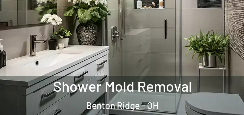 Shower Mold Removal Benton Ridge - OH