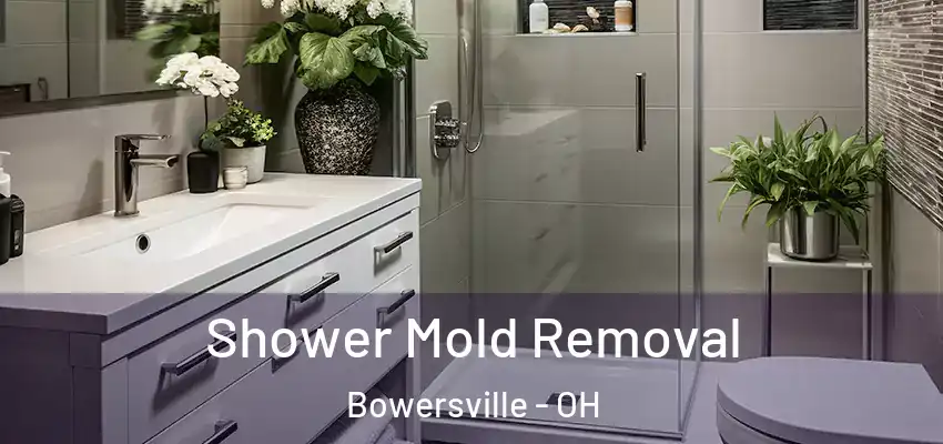  Shower Mold Removal Bowersville - OH