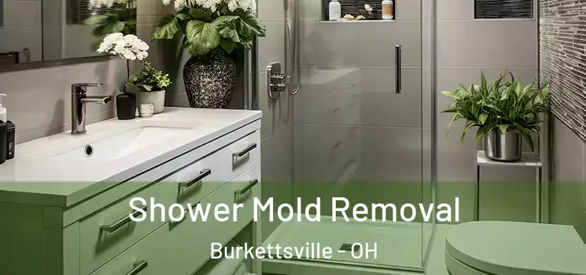  Shower Mold Removal Burkettsville - OH