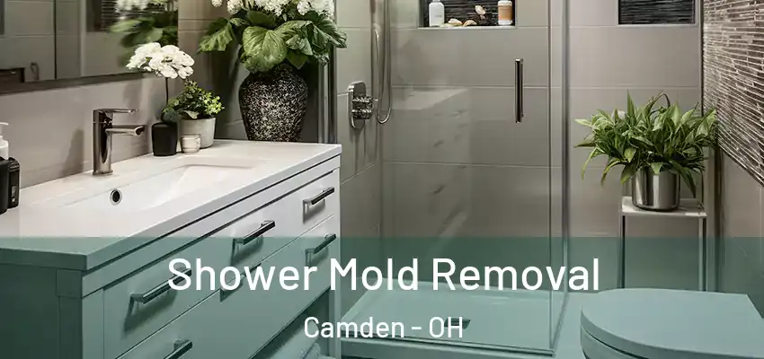  Shower Mold Removal Camden - OH