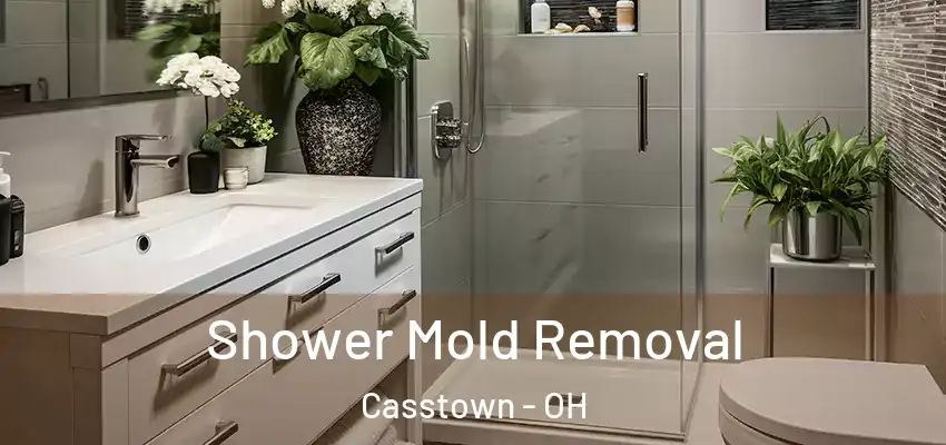 Shower Mold Removal Casstown - OH