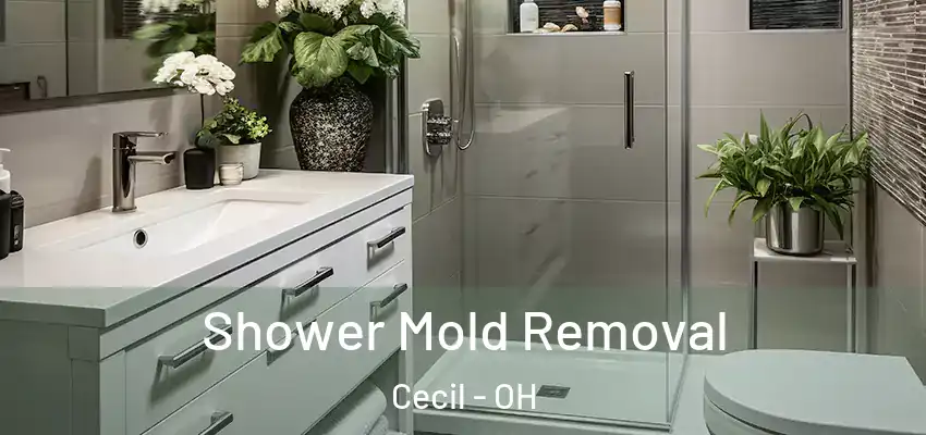 Shower Mold Removal Cecil - OH