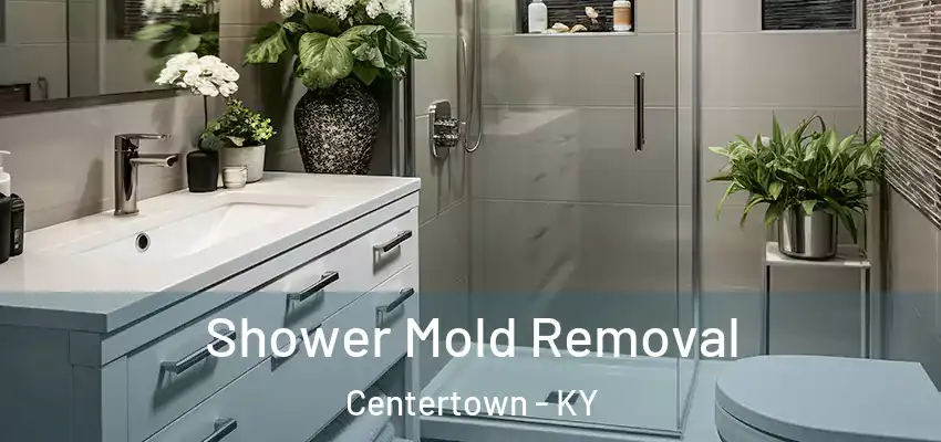  Shower Mold Removal Centertown - KY