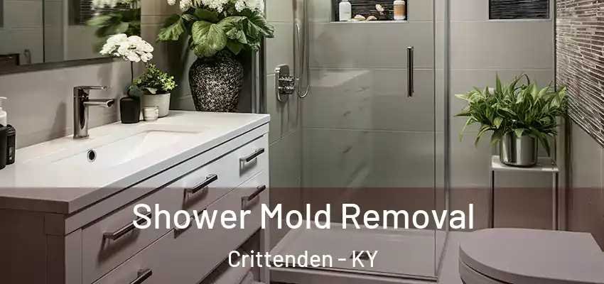 Shower Mold Removal Crittenden - KY