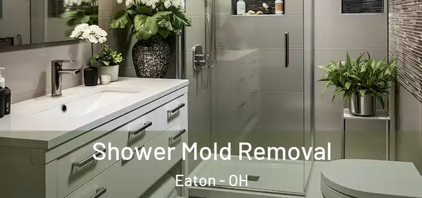 Shower Mold Removal Eaton - OH