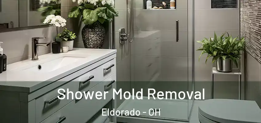 Shower Mold Removal Eldorado - OH