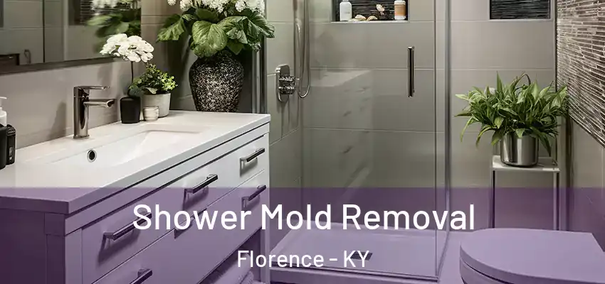  Shower Mold Removal Florence - KY