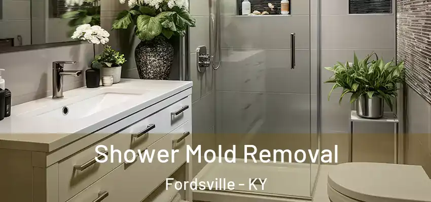  Shower Mold Removal Fordsville - KY