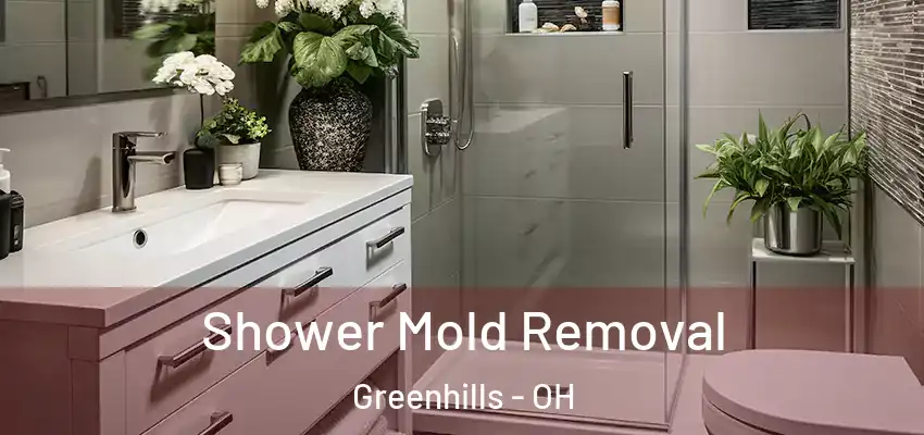 Shower Mold Removal Greenhills - OH