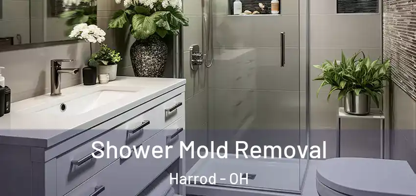 Shower Mold Removal Harrod - OH