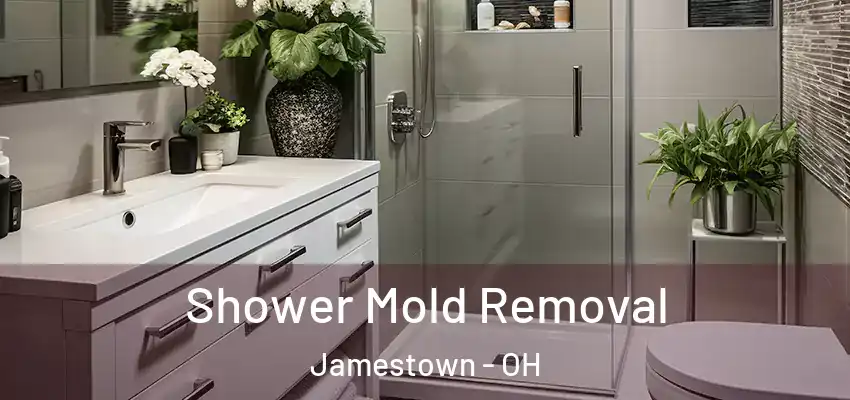 Shower Mold Removal Jamestown - OH