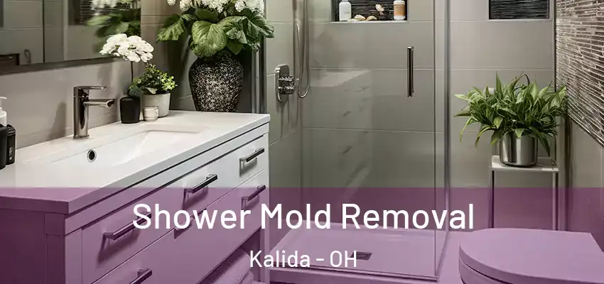 Shower Mold Removal Kalida - OH