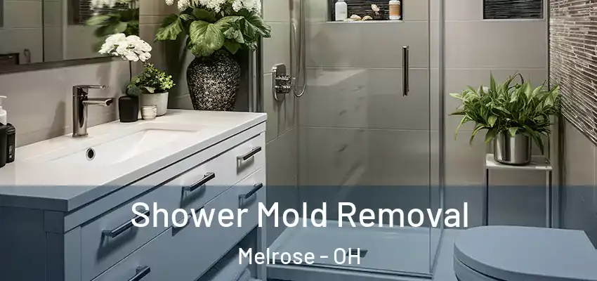 Shower Mold Removal Melrose - OH