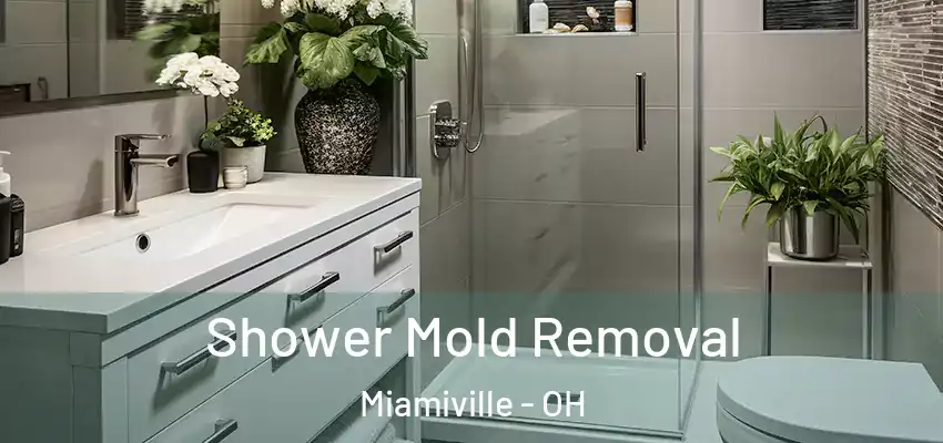 Shower Mold Removal Miamiville - OH