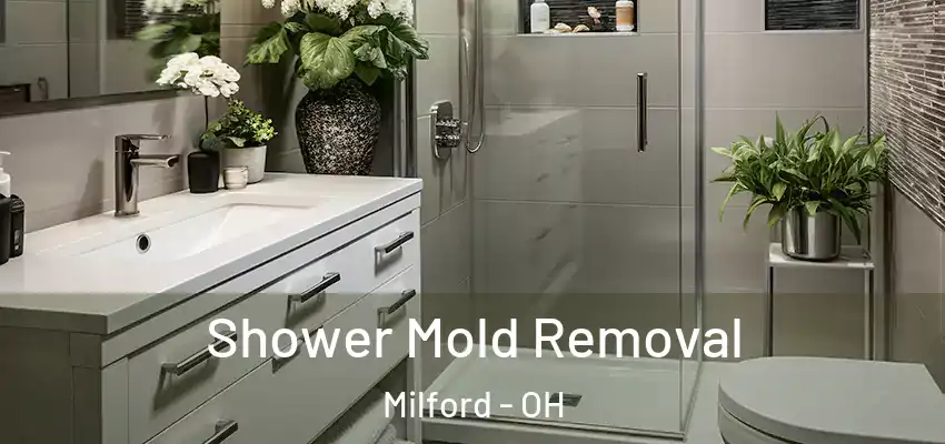 Shower Mold Removal Milford - OH