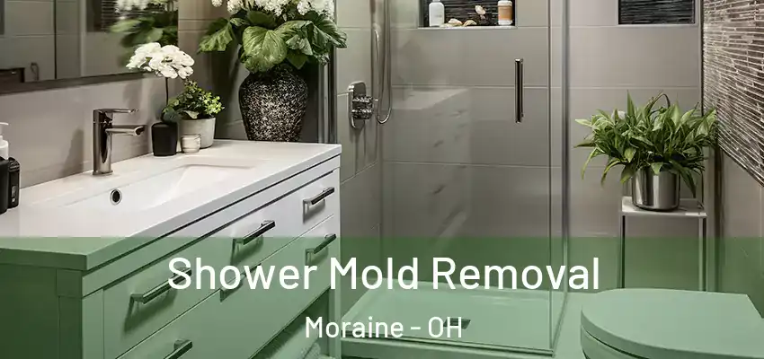 Shower Mold Removal Moraine - OH