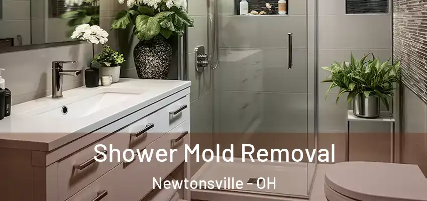 Shower Mold Removal Newtonsville - OH