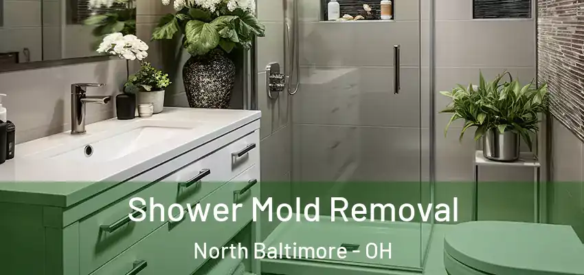 Shower Mold Removal North Baltimore - OH