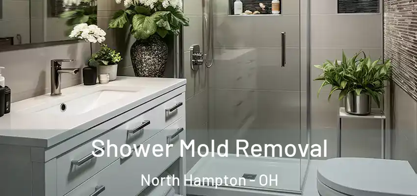  Shower Mold Removal North Hampton - OH