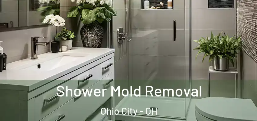  Shower Mold Removal Ohio City - OH