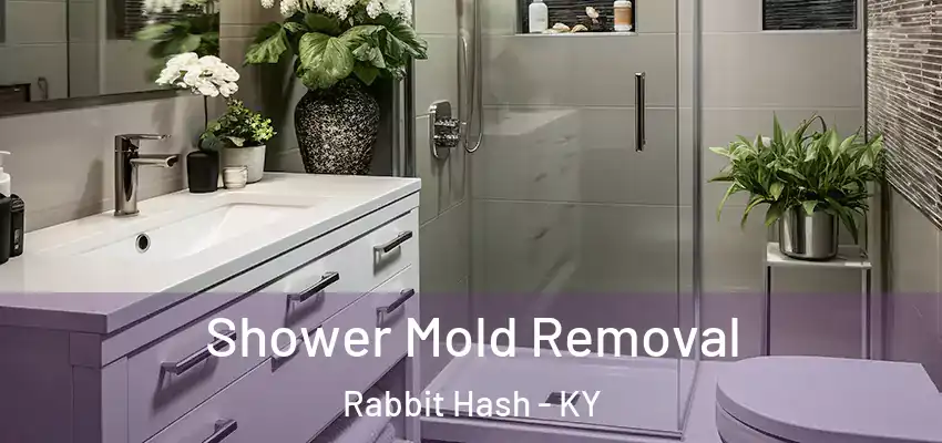  Shower Mold Removal Rabbit Hash - KY