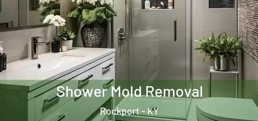 Shower Mold Removal Rockport - KY