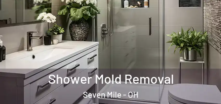 Shower Mold Removal Seven Mile - OH