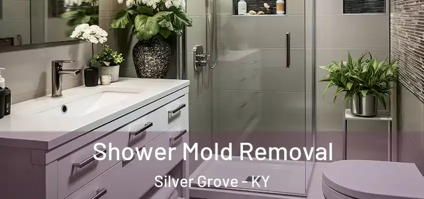 Shower Mold Removal Silver Grove - KY