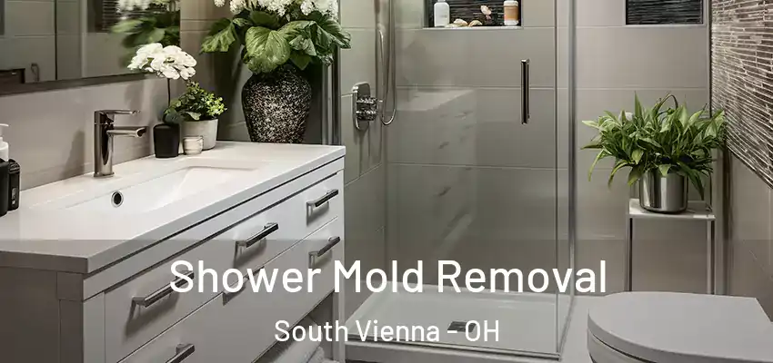Shower Mold Removal South Vienna - OH