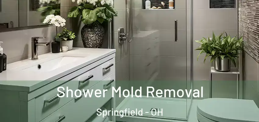 Shower Mold Removal Springfield - OH