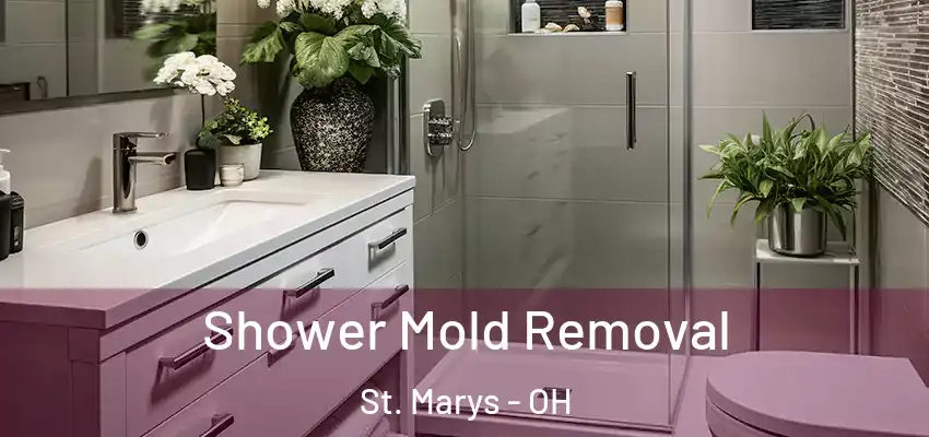 Shower Mold Removal St. Marys - OH
