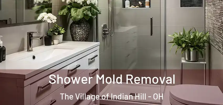 Shower Mold Removal The Village of Indian Hill - OH