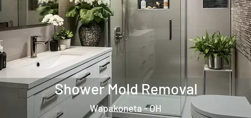 Shower Mold Removal Wapakoneta - OH