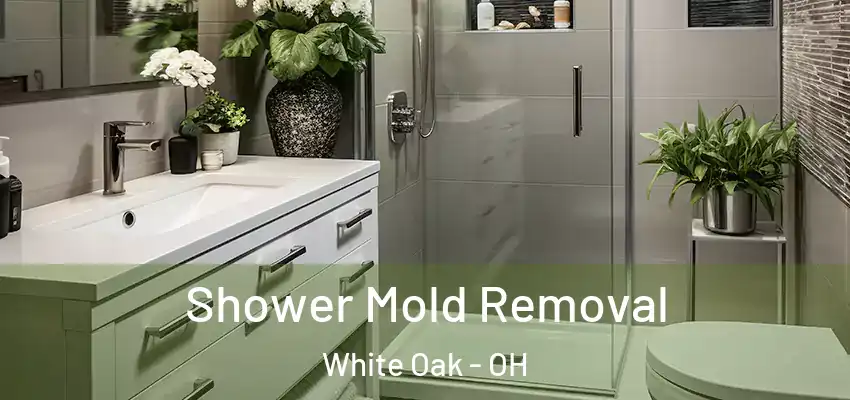 Shower Mold Removal White Oak - OH